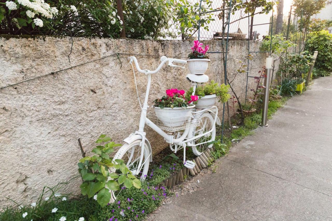 Apartments Lili Family Zadar Exterior photo